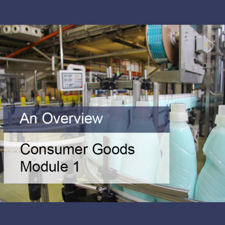 Overview of the Consumer Goods Industry